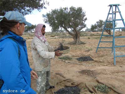 Nelia Sydoriak-Rauch bei einem Gespräch bei der Olivenernte auf Djerba
